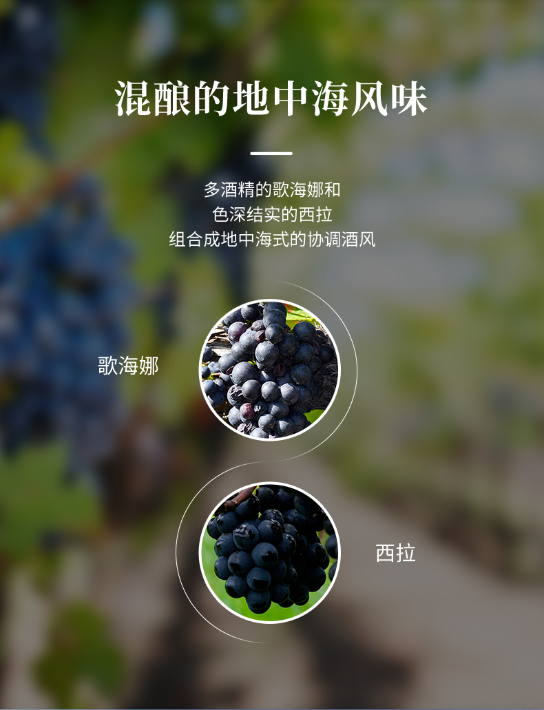 免费看片在线观看·汉妮切片_08.jpg