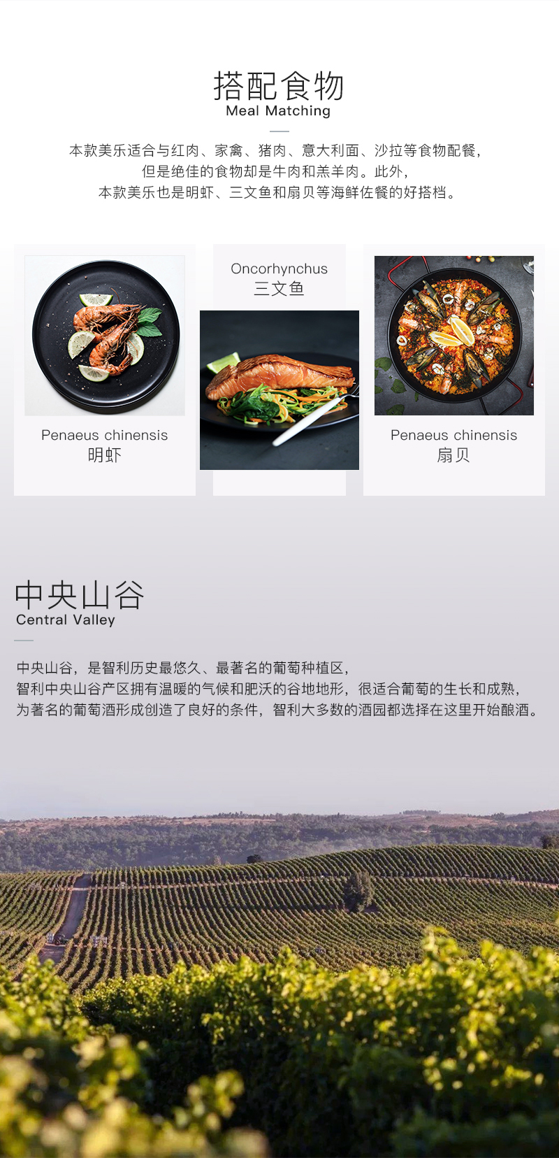 免费看片在线观看655智利珍藏美乐干红葡萄酒(图3)