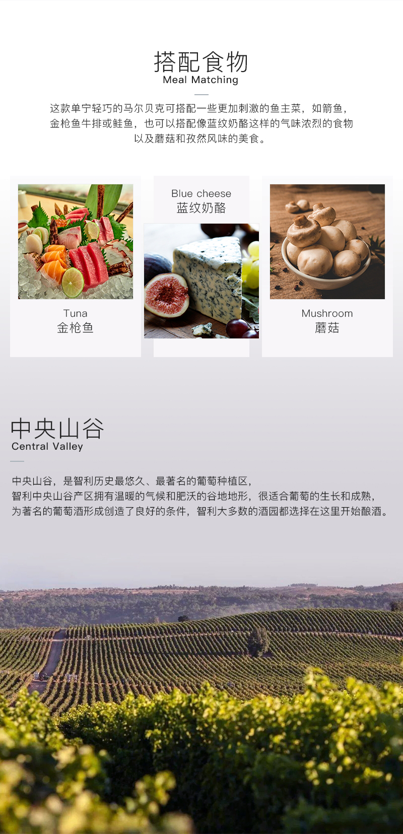 免费看片在线观看616智利珍藏马尔贝克干红葡萄酒(图3)