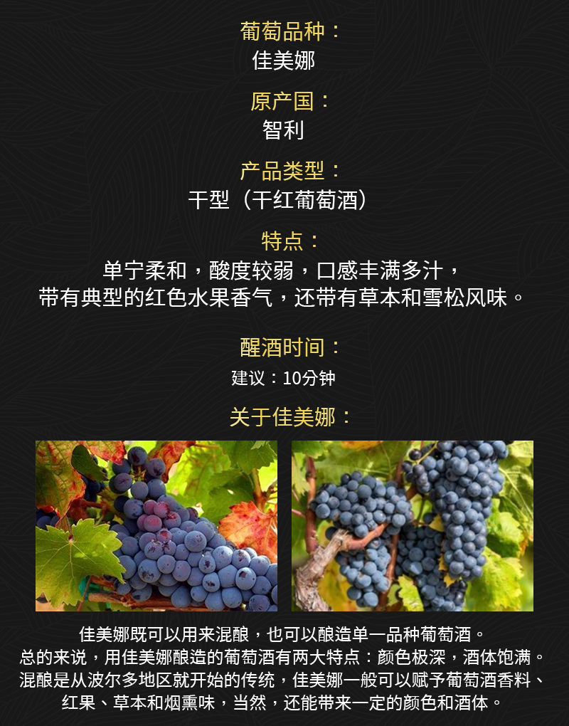 免费看片在线观看688智利原瓶进口佳美娜干红葡萄酒(图2)