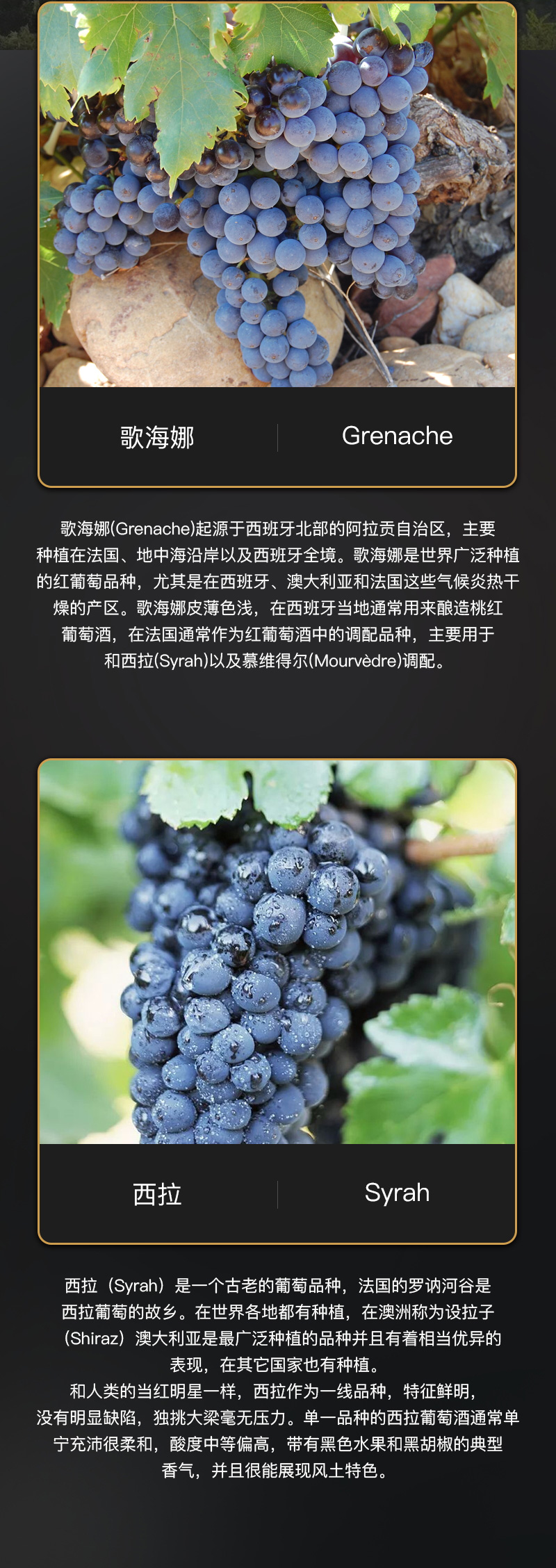 免费看片在线观看红酒818法国豪华AOC干红葡萄酒(图4)